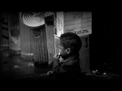 Rootwords - My Identity feat. Larynx