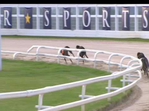 2017 DERBY PLATE - HEAT 4 - T5 GRACES BLUEBOY