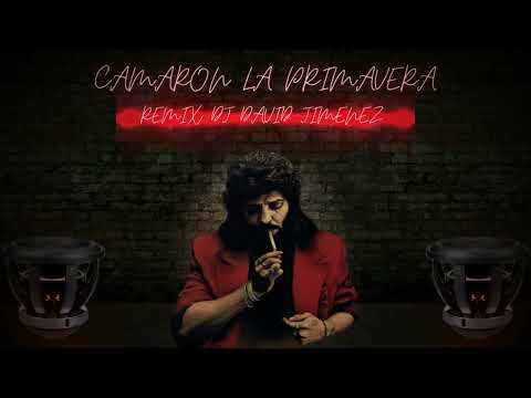 Camarón La Primavera Remix Dj David Jimenez
