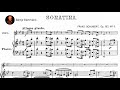 Franz Schubert - Violin Sonatina No. 3 (1816)