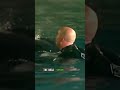 Shocking Incident 🐳😱 Killer Whale Attack On The Trainer #animals #nature #orca