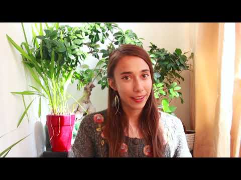 Who was Pacal Votan?