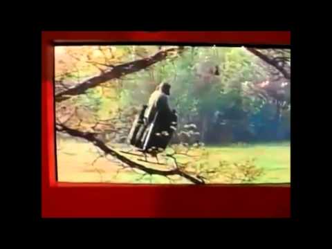 The anti-gravity platofrm of Viktor Grebennikov