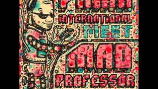 Disco Dub - Pama International meet Mad Professor