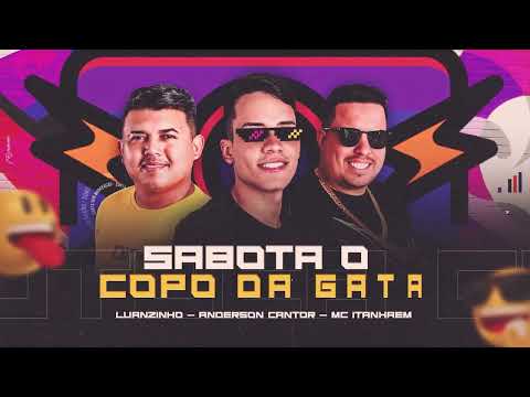 Sabota o Copo Da Gata - LuanZinho Cantor Feat: MC Itanhaém e @AndersonEVeidaPisadinhaOficial