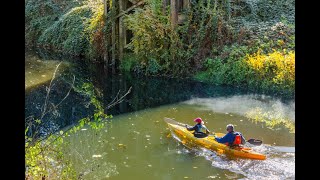 Living in Bothell, WA: The Ultimate Local Guide | Homes.com