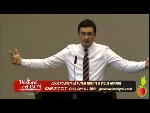 19-2014 Dorel Coras - Pacatul