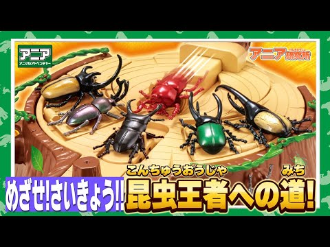 【アニア研究所】#4「めざせ!さいきょう!!昆虫王者への道」