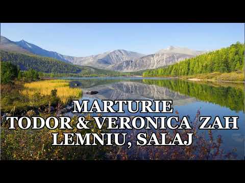 Mărturie: Todor & Veronica Zah din Lemniu, Sălaj - Partea 2