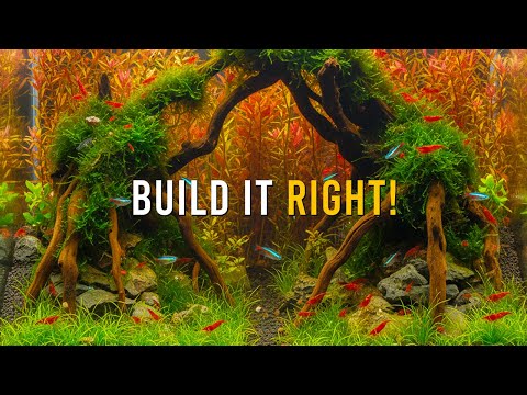 Beginner's Guide: Build An Aquarium That WON’T Crash From The Start!