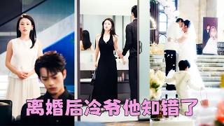 一場包辦婚姻，他一心想離，她也不願有過多糾纏，可離婚前一天卻查出懷孕，去父留子直接帶著孕肚出國，4年後她在自己的領域光芒萬丈，身邊一對龍鳳胎軟萌可愛，曾棄她如敝履的男人卻後悔了，死纏爛打追妻火葬場！