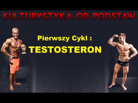 Bodybuilding from the Basics - First Cycle - TESTOSTERONE