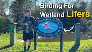Incredible Wetland Species While Birding South Padre Island Birding and Nature Center