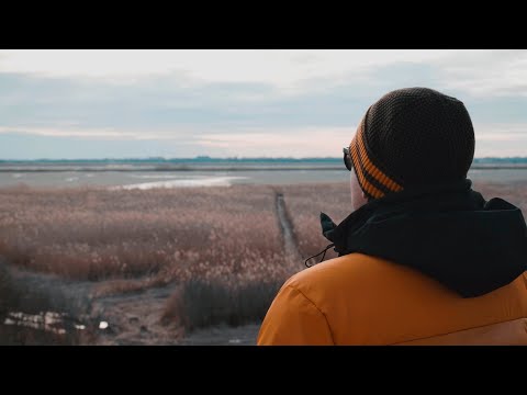 Kultúrkör and BroWn