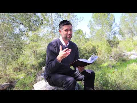 Bitachon 53 - Trust in Hashem Every Moment