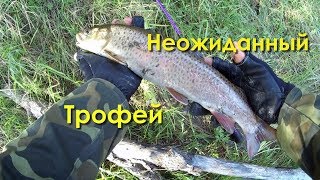 Соревнования по рыбалке иркутск 16 июля 2020 место проведения