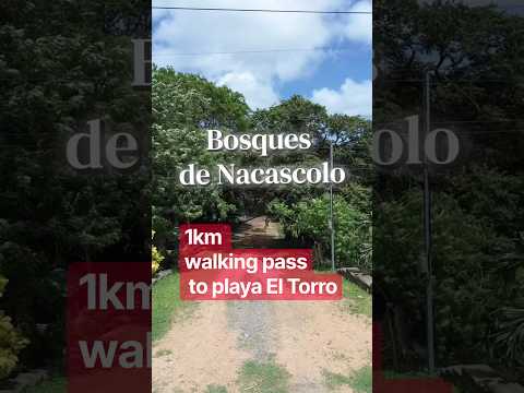 Lots near Playa El Toro | Bosques de Nacascolo | From $13,500