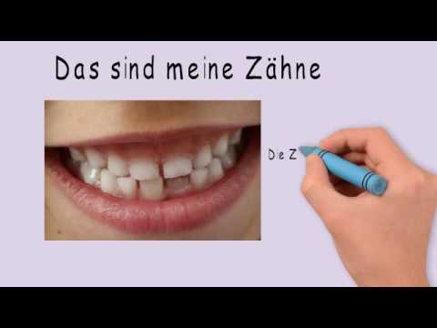 Meine Zähne