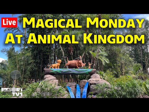 🔴Live: Magical Monday at Disney's Animal Kingdom - Walt Disney World Live Stream  - 5-20-24