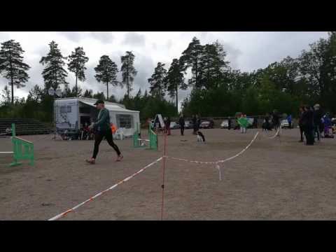 Piirinmestaruus Hamina 6.8.2017 joukkuekisa hyl