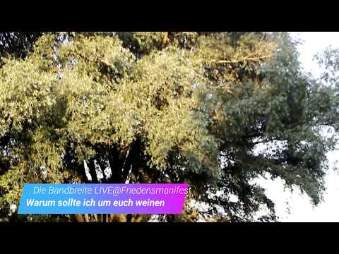 Die Bandbreite - Warum sollte ich um euch weinen (LIVE@FriedensmaniFest 2017)