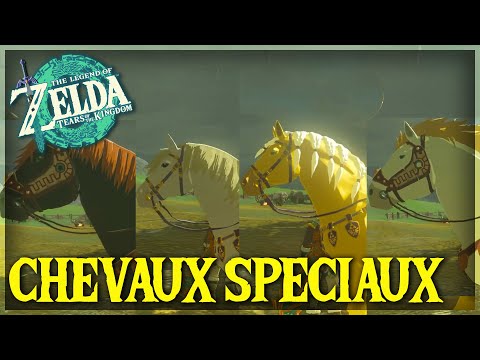 Comment avoir TOUS les CHEVAUX SPECIAUX dans Zelda Tears of the Kingdom - TUTO ZELDA TOTK