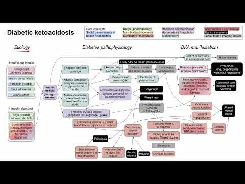 Diabetic ketoacidosis (mechanism of disease)