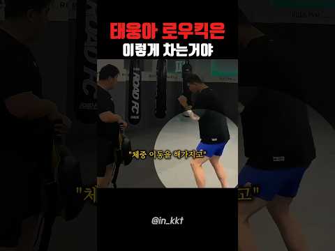 태웅아 로우킥 알려줄게