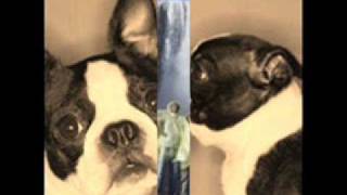 FRANCIS CABREL DEPUIS TOUJOURS