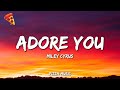 Adore You Miley Cyrus Lyrics