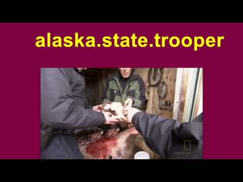 alaska state troopers Season 2  Episode 6
