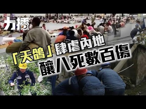 釀八死數百傷