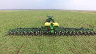 Plantio de Soja - Campo Verde MT