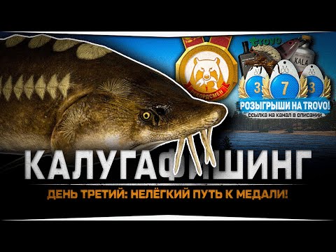 Ловля БЕЛУГИ и КАЛУГИ, день третий — Русская Рыбалка 4