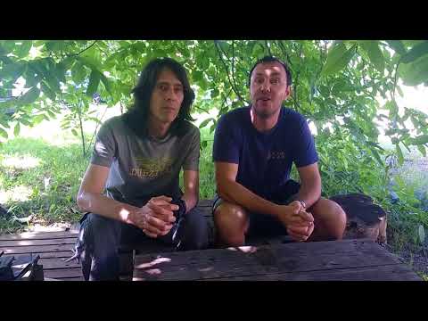 Vabilo na koncert - Ptujski grad, DIMEK in Davor Klarić