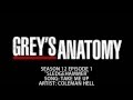 Grey's Anatomy S12E01 - Take Me Up by Coleman ...