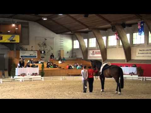 CVI Bern 2015 - Selina Schumacher SUI (CVIJ2*)