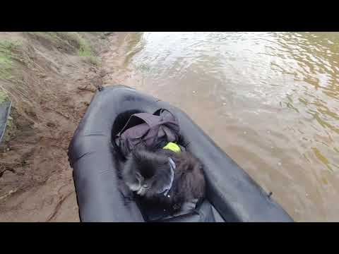 Kanaltour die Erste mit Packraft