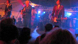 Jon Langford & His Sadies - Rock and Roll