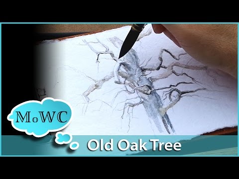Painting an Old Oak Tree in My Watercolor Journal Video
