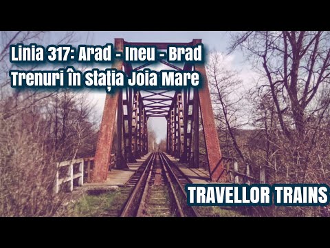 Trenuri în stația Joia Mare (Linia 317: Arad - Ineu - Brad) + prezentarea zonei