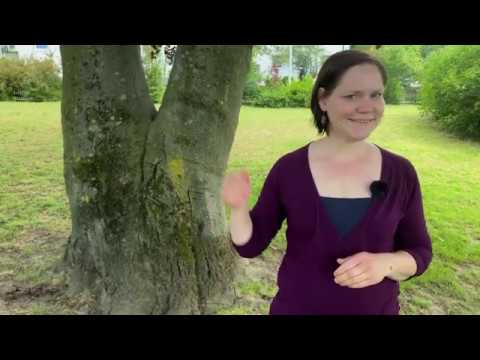 Segen - was ist das?