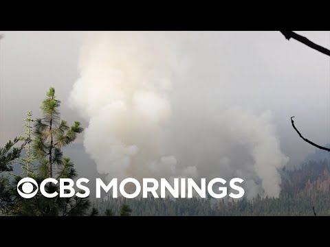 Growing wildfire in Yosemite National Park threatens ancient sequoias
