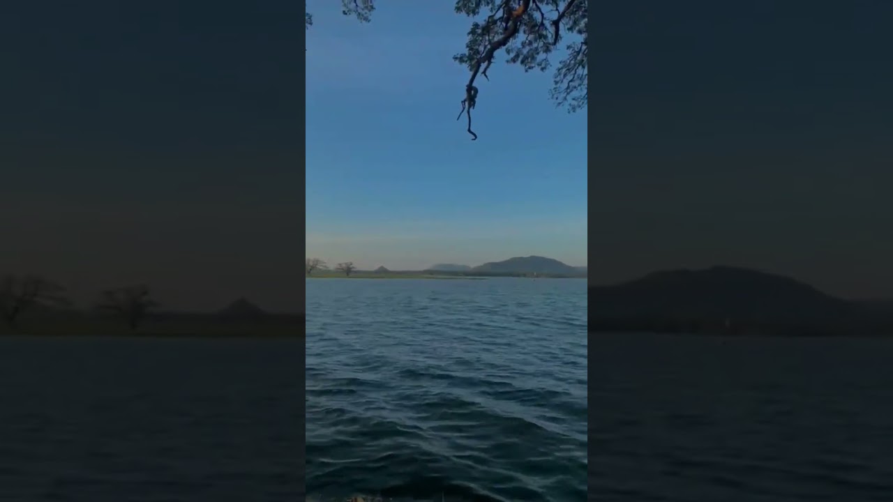 YouTube Short thumbnail