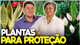 PLANTAS PARA A PROTEÇÃO DA CASA