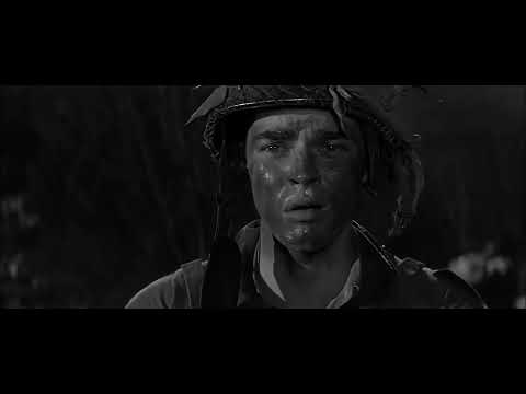 82nd Cinema