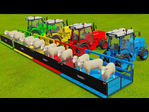 TRANSPORTING SHEEPS WITH COLORED MINI TRACTORS - Farming Simulator 22