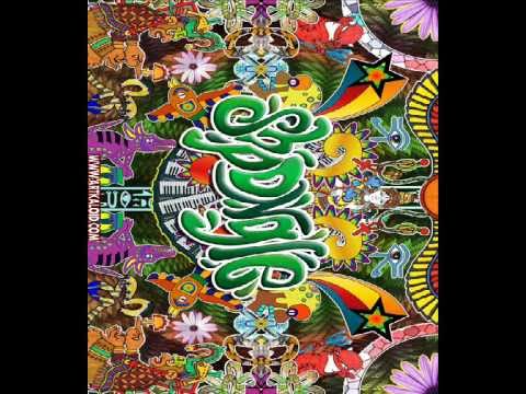 Shpongle Shiva Space Technology