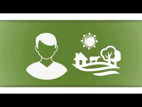 Quicibo.it (EN) | Qui Vivo Qui Cibo