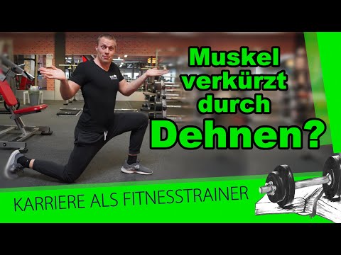 Dehnen – Was passiert dabei im Muskel? Kann der Muskel verkürzen?